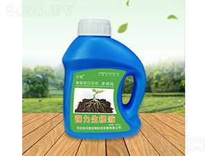 ȫ�菊������Һ-��Ԫ��