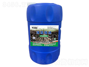 ���屬��΢�������-��(y��u)ķ�Z-��ؾG