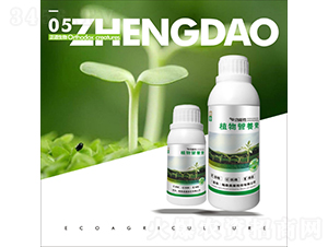 ֲ��I�B(y��ng)��-��������