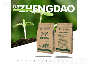 ��һ��΢�������-��������