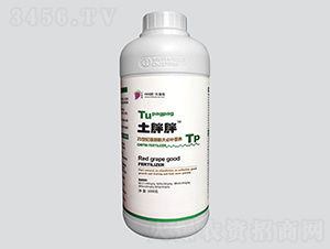 �������o�������a�I�B(y��ng)-�t����