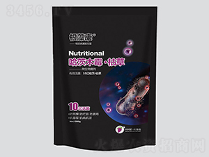 ���念����ľù�ݲ�-�t����