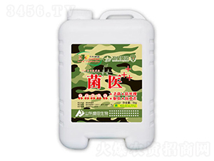 ���t(y��)-ʢ������