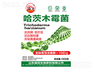 ����ľù��-ʢ������