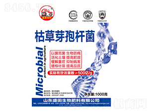 �ݲ�ѿ�ߗU��-ʢ������