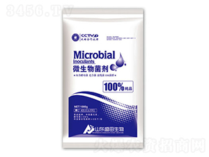 ΢�������-ʢ������