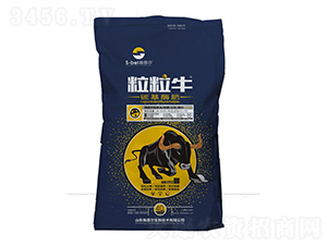 ����ţ̼��ø��-ʩ����