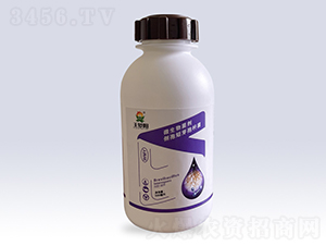 微生物菌劑側(cè)孢短芽孢桿菌-王夢(mèng)陽(yáng)-文隆夢(mèng)陽(yáng)