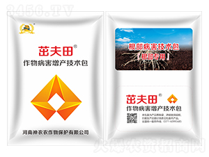 �����������g��-�·���-�������r(n��ng)