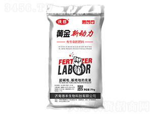 黃金新動力-德豐