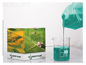 ֲ�����z-����