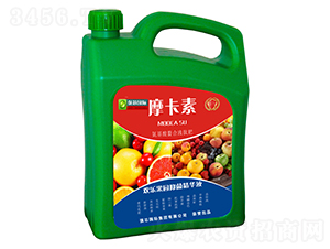 �g�����@�־����AҺ-Ħ����-��о