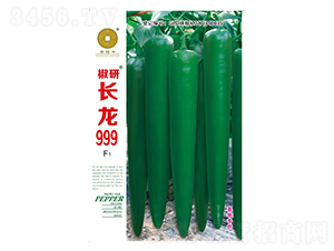 �����L��999-�����N��-�A��N�I(y��)