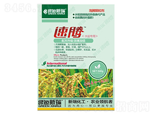 �������-����