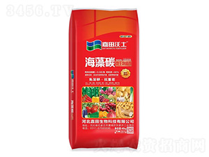 ΢�������-����̼-��������