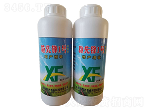 �����h1̖-�|�x�_(d��)