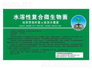 ˮ���ԏ�(f��)��΢�����-�|�x�_(d��)