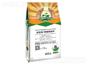 �_���ס��}�V�F�\Ƭ-���W�