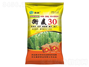 ����30-С���N��-���зN�I(y��)