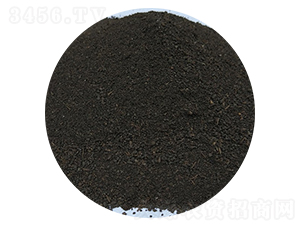 �����ЙC�ʷۄ�-��ɏ���