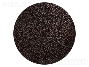 �����ЙC(j��)���w��-��ɏ���