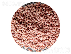 ���򵪷�-���r(n��ng)�r(n��ng)�I(y��)