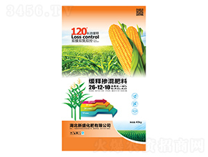 ��ጓ������26-12-10-��ʢ����