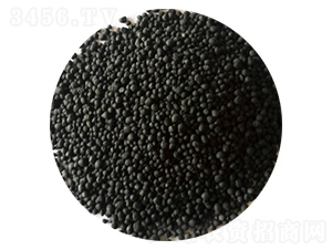 �w�����ЙC(j��)��-�|�r(n��ng)��