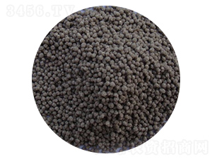 �w���������ЙC��-�|�r��