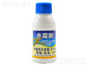 3%��ù������-�X������