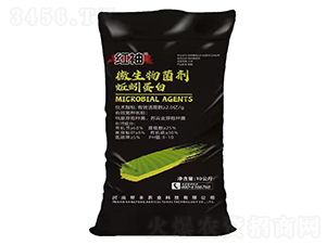 微生物菌劑-蚯蚓蛋白-紅袖-幫豐農(nóng)業(yè)