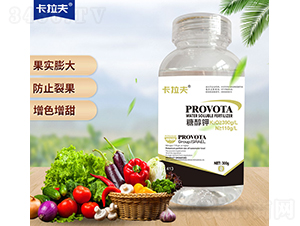 �Ǵ��-������