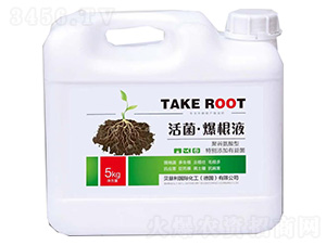 �۹Ȱ����ͻ��������Һ-ؐ����