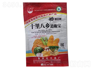 十里八鄉(xiāng)追施寶-景陽(yáng)岡