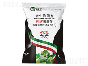 ΢�������-Ӣ���������-��ɭԪ