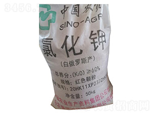 ���r(n��ng)�Ȼ��-�ѷ�Ԫ