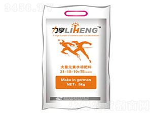 ���M(j��n)�o�~���L������31-10-10+TE-�»����