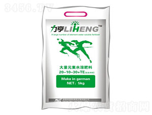 �����B(y��ng)������ߵ�⛷�20-10-30+TE-�»����