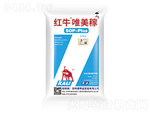 �tţΨ����-���·���