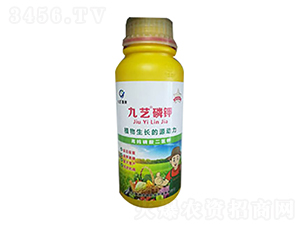 ��ˇ���-��ˇ�G��