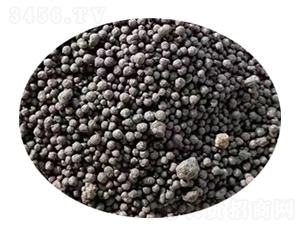 ΢��������w��-�l(f��)ؔ(c��i)��