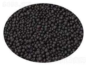 ���{��������-�l(f��)ؔ(c��i)��