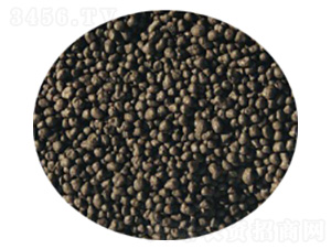 ΢�������-�l(f��)ؔ(c��i)��