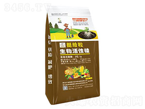 生物菌肥通用型-挺給粒生物活性硅-碩磊農(nóng)業(yè)