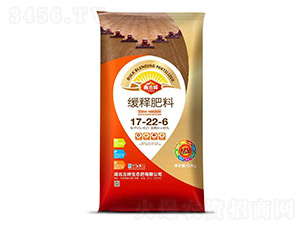 ��ጷ���17-22-6-�μ���-�������B(t��i)��