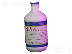 500ml����Ӣ��������Һ�w-�A��(chu��ng)���r(n��ng)