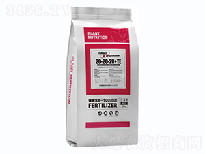 ����Ԫ��ˮ�ܷ���-С���Ǆ�(d��ng)���V�-С��