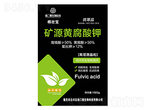 �VԴ�S�����-���ɩ����