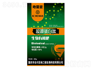 �zԭ������-���ɩ����