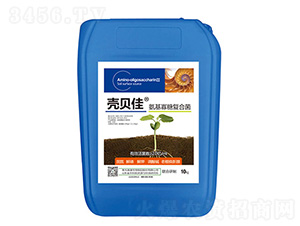 �������ǏͺϾ�-��ؐ��-�ļ����r(n��ng)�I(y��)